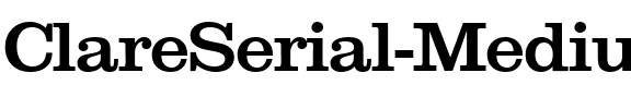 ClareSerial-Medium Regular.ttf