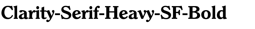 Clarity Serif Heavy SF Bold.ttf