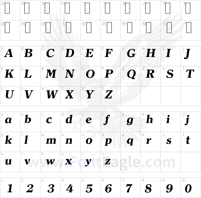 ClearfaceSerial-Xbold-Italic