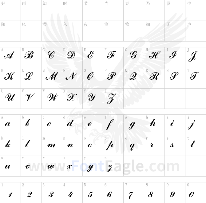 Commercial-Script-MN