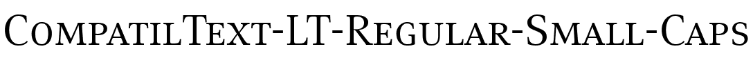 CompatilText LT Regular.ttf