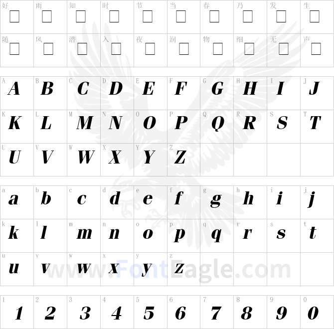 Compendium-SSi-Bold-Italic