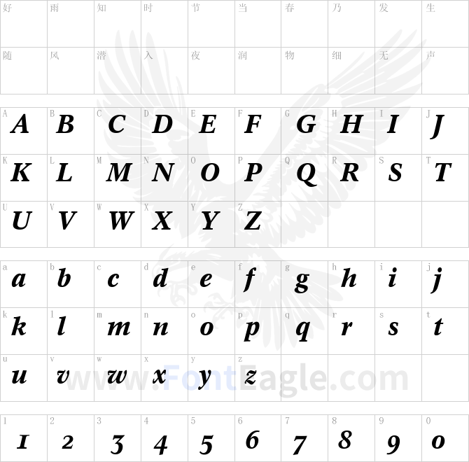 Concorde-R-Expert-Medium-Italic-OsF