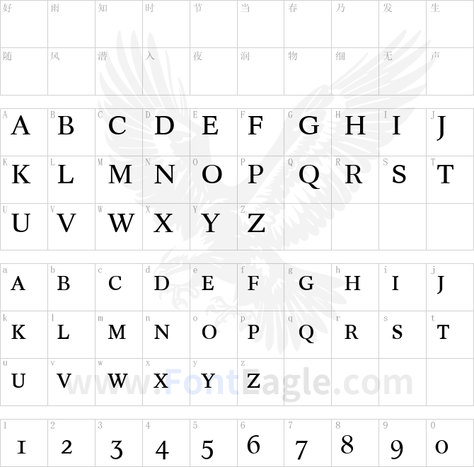 Concorde-R-Expert-Regular