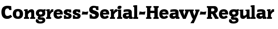 Congress-Serial-Heavy Regular.ttf