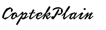 CoptekPlain Regular.ttf