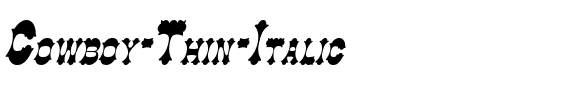Cowboy Thin Italic.ttf