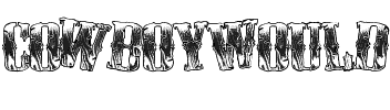 CowboyWould Regular.ttf