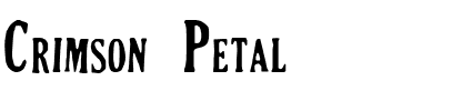 SpideRaY FonTs Regular.ttf