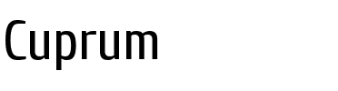 Cuprum Regular.ttf
