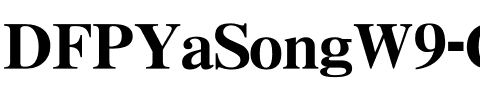 DFPYaSongW9-GB5 Regular.ttf