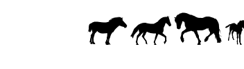 DJ Horses 1 Normal.ttf