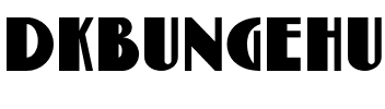 DK Bungehuis Regular.otf
