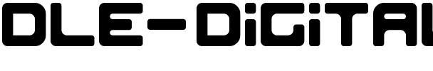 DLE Digital Regular.ttf