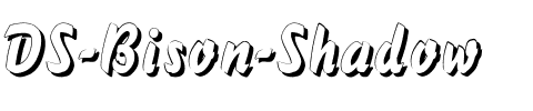 DS Bison Shadow Regular.ttf