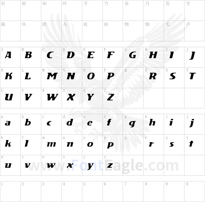 DS-Motion-Demo-Italic