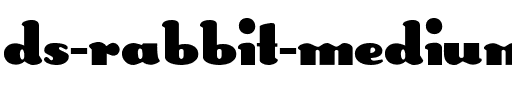 DS Rabbit Medium.ttf