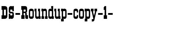 DS Roundup Bold.ttf