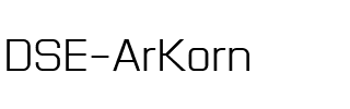 DSE ArKorn Regular.ttf