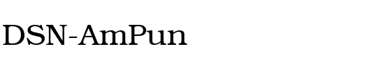 DSN AmPun Regular.ttf