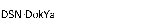 DSN DokYa Regular.ttf