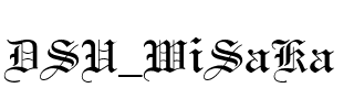 DSU_WiSaKa Regular.ttf