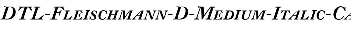 DTL Fleischmann Regular.ttf