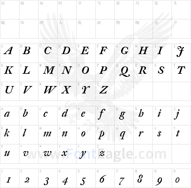 DTL-Fleischmann-SD-Medium-Italic