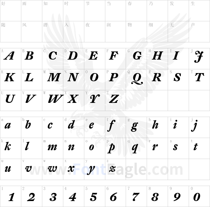 DTL-Fleischmann-T-Bold-Italic