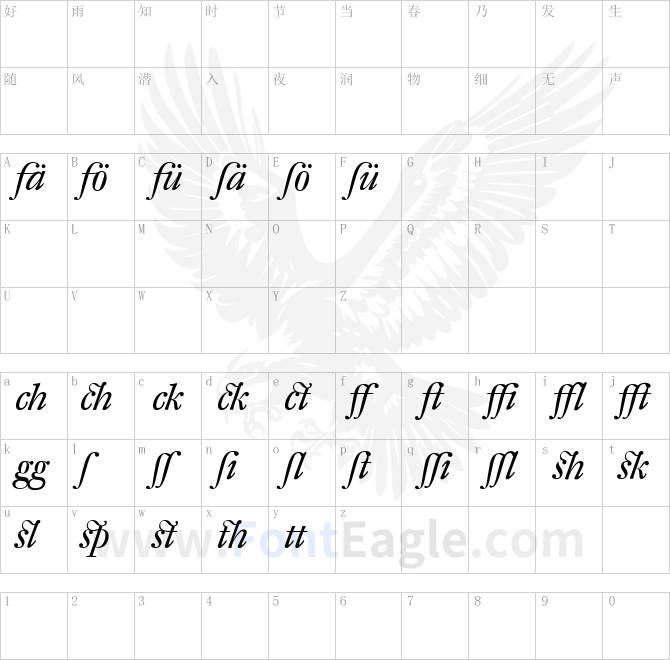 DTL-Fleischmann-T-Italic-Alt