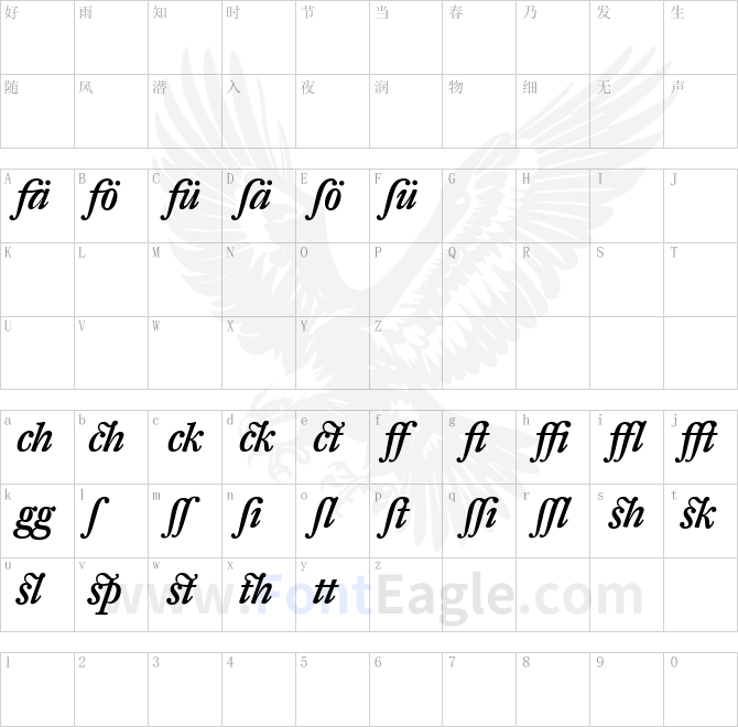 DTL-Fleischmann-T-Medium-Italic-Alt