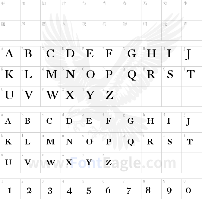 DTL-Fleischmann-T-Regular-Caps