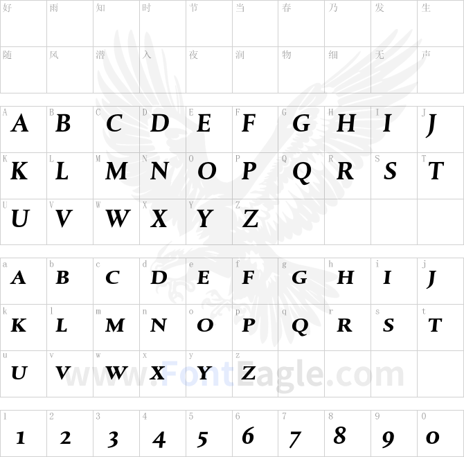 DTLAlbertinaTCaps-BoldItalic