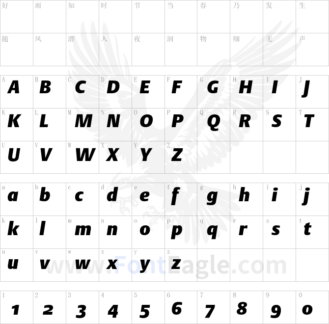 DTLArgoST-HeavyItalic