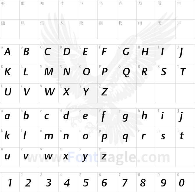 DTLArgoT-MediumItalic
