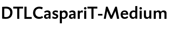 DTLCaspariT Medium.otf