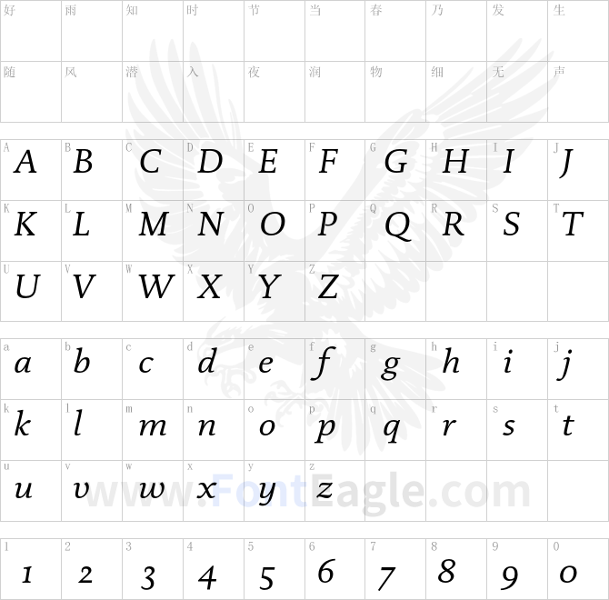 DTLDocumentaST-Italic