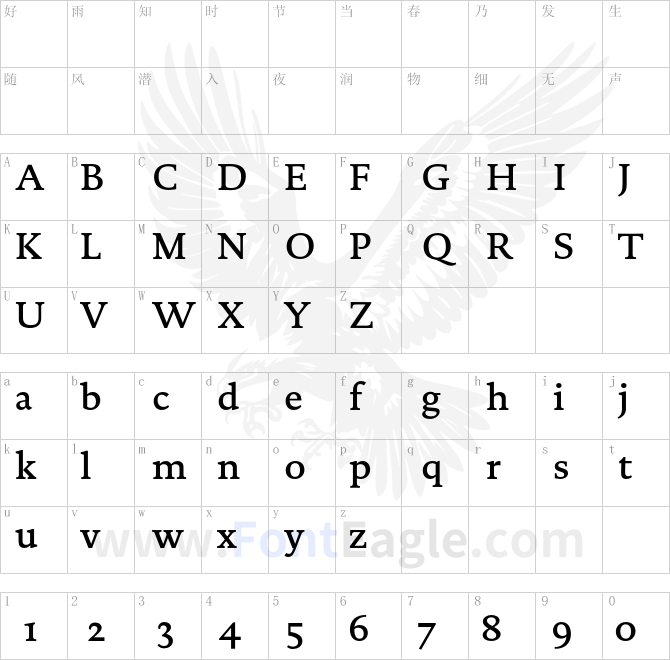 DTLDocumentaST-Medium