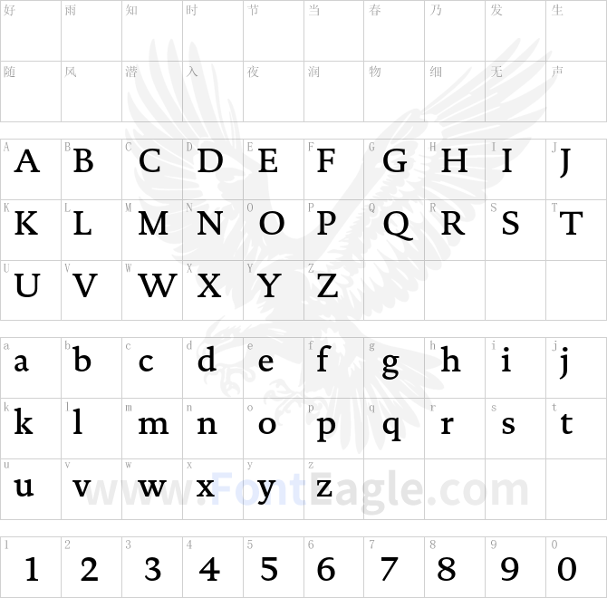 DTLDocumentaT-Medium