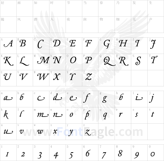 DTLElzevirTBookSwash-Italic
