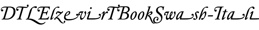 DTLElzevirTBookSwash Italic.otf
