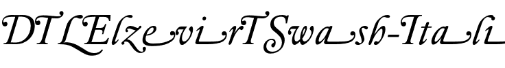 DTLElzevirTSwash Italic.otf