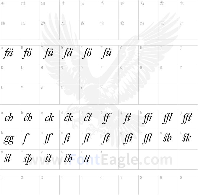 DTLFleischmann-DItalicAlt