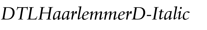 DTLHaarlemmerD Italic.otf