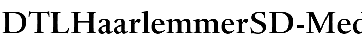 DTLHaarlemmerSD Medium.otf