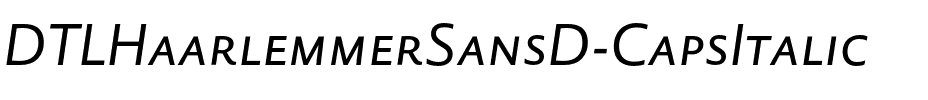 DTLHaarlemmerSansD Caps Italic.otf