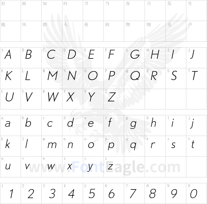 DTLNobelT-LightItalic