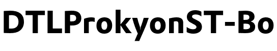 DTLProkyonST Bold.otf