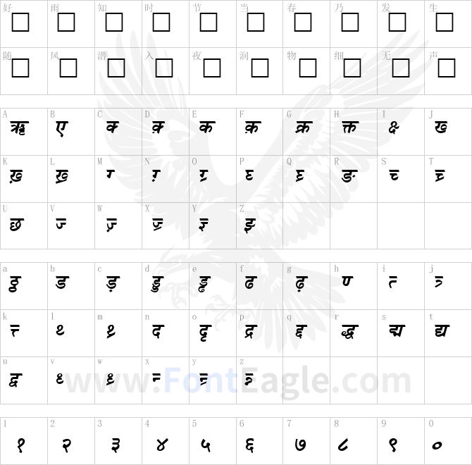 DV-TTSurekh-Bold-Italic