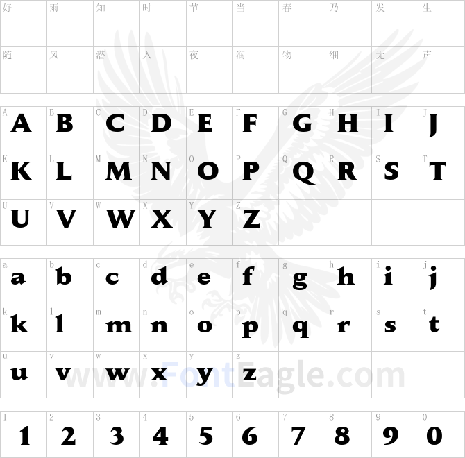 Daily-News-Extra-Bold